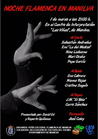 noche-flamenco-poster