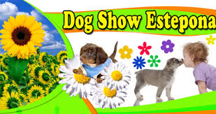 adana-dog-show-in-estepona-21779639